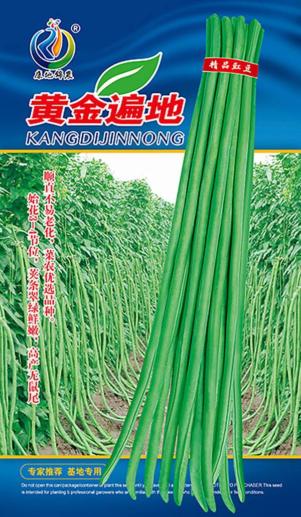 黃金遍地