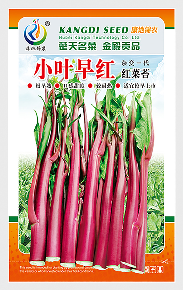 小葉早紅