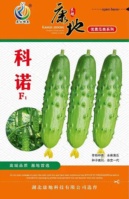 科諾