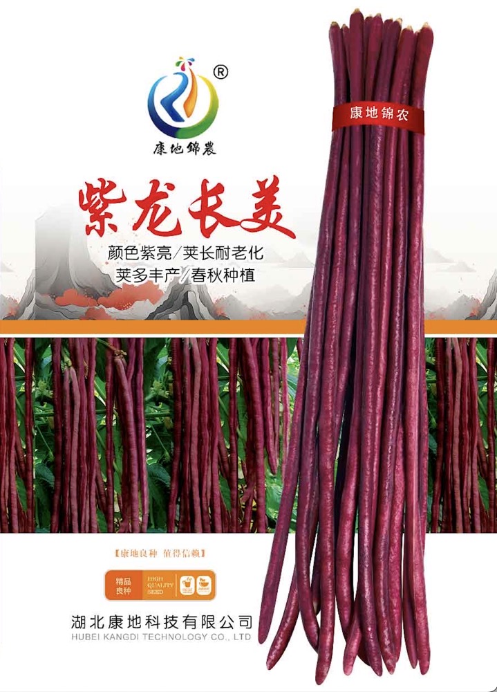 紫龍長美